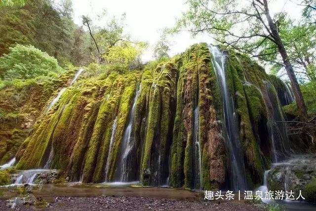 为什么要进行生命教育？游戏画面